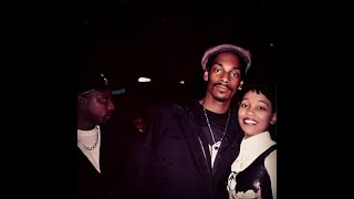 Monica x 213 Snoop Dogg Nate Dogg Warren G  So Gone So Fly PMIX itsthemcp mashup [upl. by Wilek3]