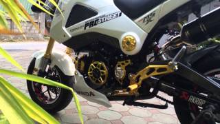 MSX 125 WHITE  GOLD Akrapovic Carbon HD 1080p  By bAkeryday [upl. by Holly99]