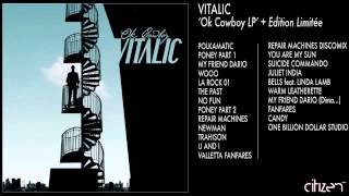 Vitalic  The Past [upl. by Longo]