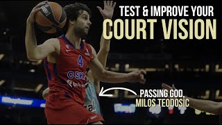 Test Your Court Vision amp IQ amp Milos Teodosic Passing Breakdown [upl. by Nareht]