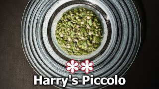 A pranzo al ristorante HARRYS PICCOLO 2 stelle Michelin ⭐⭐ [upl. by Dolli]