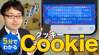 スマホに表示されるクッキーとは？元日本一販売員が解説！ [upl. by Anabahs]