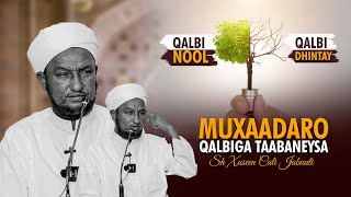 Muxaadaro Qalbiga Taabaneysa  Qalbiga Buka amp Qalbi Cafimaad Qaba  Sheekh Xuseen Cali Jabuuti 2024 [upl. by Ailemap141]