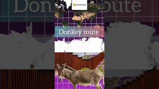 Donkey routedonkey movie explain crime usa shortvideo shorts viralvideo short song facts [upl. by Nenad]