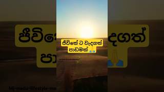 අලුත් දිනයක් ආරම්භ කිරීමට සූදානම් 🔥💪 motivation quotes shortvideo [upl. by Pazia]