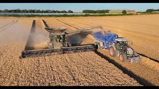 Its Harvest Time  This Week at Coxalls [upl. by Mccarthy986]