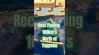 Reef Fishing100kms North of Yeppoon shorts fishing fishingvideo diy [upl. by Alliehs]