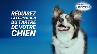 DENTALIFE® CHIEN Hygiène BuccoDentaire pendant 28jours [upl. by Napra]