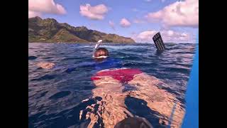 First whale tour in Moorea [upl. by Truda593]