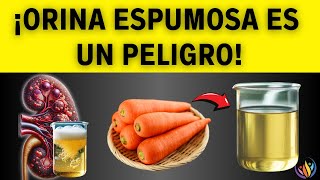 TOP 5 ALIMENTOS Y HÁBITOS PARA AYUDAR A LA RECUPERACIÓN RENAL DE LA PROTEINURIA  Saludable y Feliz [upl. by Immij]