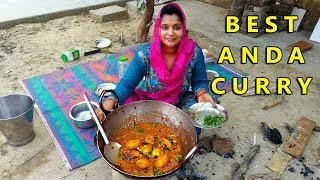 उंगलिया चाटने पर मजबूर हो जाओगे जब खाओगे ये अंडा करी  BEST VILLAGE ANDA CURRY RECIPE [upl. by Nolla500]