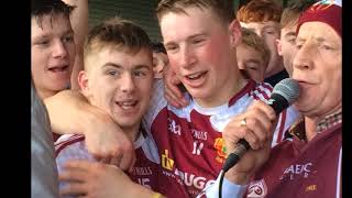 Dr Harty amp Croke Cup Champions 2017 [upl. by Aileek]