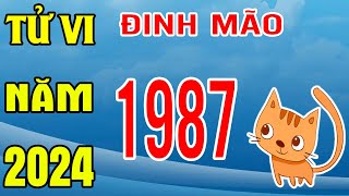 Tử Vi Tuổi Đinh Mão 1987 Năm 2024 Giáp Thìn [upl. by Nido]