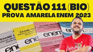 QUESTÃO 111 ENEM 2023 PROVA AMARELA 2 DIA  ANEL DE MALPIGHI [upl. by Ardnac]