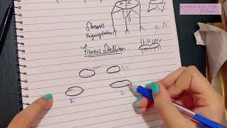 Valves of Heart  Fibrous Skeleton of the Heart  Structure of Valve  EASY EXPLANATION [upl. by Atineb]