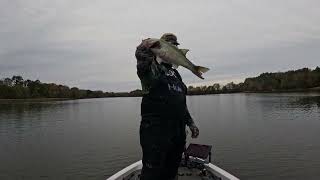 Bass fishing Eufaula Alabama [upl. by Marelya970]