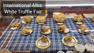 3 min Alba  International Alba White Truffle Fair  40 Years of Flavor [upl. by Goeger]