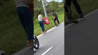 Tangkap ular tedung selar paling jinak wow shortsvideo Ulartedungselar dayakborneo [upl. by Mariya]