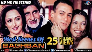 Best Scenes Of Baghban  Hindi Movies  Best Bollywood Movie Scenes  Amitabh Bachchan Movies [upl. by Encratia]