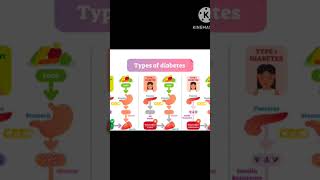 DIABETES MELLITUS NORMAL BS 70110 mgdl comedytrendingshorts  gkquiz facts diabetes [upl. by Olenta105]