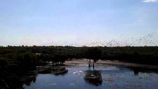 South of Aurukun QLD Ti Tree outstation [upl. by Akitnahs]