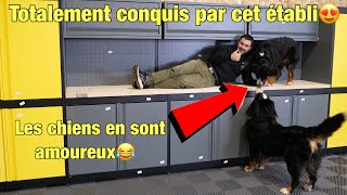 IZIBOX🔥Un nouveau concept détabli datelier totalement dingue😱🤩 [upl. by Pazit]