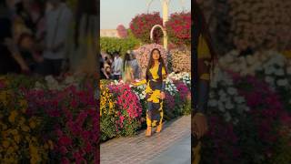 ￼￼￼Dubai 🇦🇪 miracle garden [upl. by Mckinney]