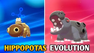 How To Evolve Hippopotas Into Hippowdon In Pokemon Sword amp Shield  Galar Pokedex [upl. by Brodench]