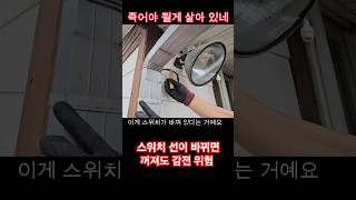 전기감전 위험 배선바뀜 시설관리 전기 전기감전 [upl. by Daune]