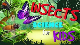 Learn Insects and Arachnids  Science for Kids [upl. by Cyril]