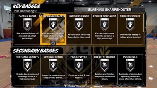 NBA 2K18 Badge System Explained ⋆NBA2K18⋆ 🗣🕵️📔🗞 [upl. by Annaj]