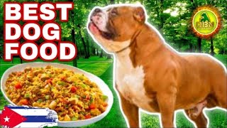 Can You Really Improve Your Dogs Health with Homemade Food [upl. by Oinafipe256]