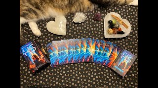 Highly Sensitive Tarot Flip ThroughFirst Impressions [upl. by Weiman]