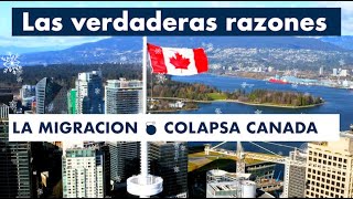 La MIGRACION 💣 colapsa a CANADA 🇨🇦 [upl. by Hardman]