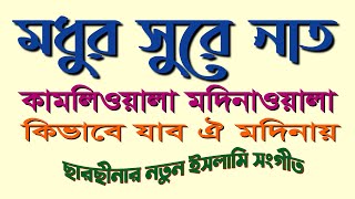 মদিনাওয়ালা কামলিওয়ালা  Madinawala Kamliwala [upl. by Ashling]