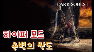 하이퍼모드 용병의 쌍도 Hyper Mode Sellsword Twinblades [upl. by Anaig]