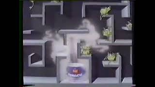 Raid Fumigator Bug Fogger Commercial 1986 [upl. by Nils]