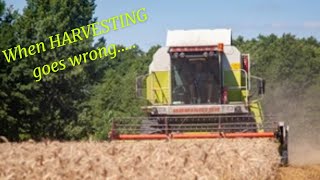 WHEN HARVESTING GOES WRONG REALLY WRONG  Harvest 2024  Harvest 24  Claas Combine Harvester [upl. by Arihsan62]