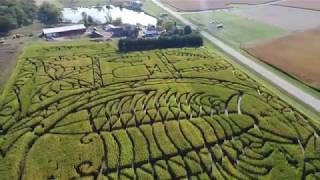 Treinen Farm creates a fossilshaped corn maze [upl. by Aliab755]