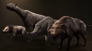 Life After Dinosaurs 2008  Hyaenodon amp Paraceratherium amp Embolotherium and Entelodon Screen Time [upl. by Aysahc]