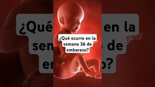 🤔 ¿Qué ocurre en la semana 26 de embarazo 🤰 Síntomas y desarrollo del bebé [upl. by Bruckner]