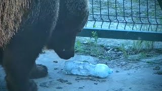 Мансур 🤎 Находит замороженную бутылку с водой Frozen water bottle 😊👀🧊 [upl. by Alusru]