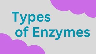 Types of Enzymes Isozyme Lysozyme Zymogens autocatalysis [upl. by Halley768]