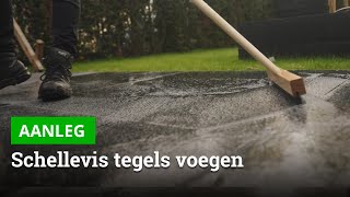 Schellevis tegels invoegen met LM Aqua voegmortel  Bestratingswebnl [upl. by Stoops537]