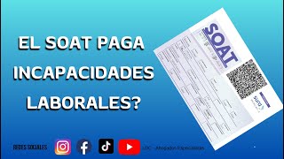 ✅ EL SOAT PAGA INCAPACIDADES  soats incapacidades accidentescamiones indemnizacion [upl. by Nagear]