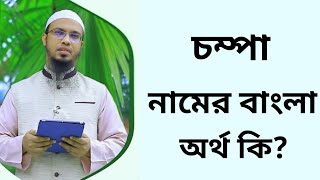 চম্পা নামের অর্থ কি  Chompa namer ortho ki  Champa name meaning in Bangla [upl. by Maude]