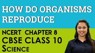 How do Organisms Reproduce Science Biology Chapter 8 Reproduction CBSE NCERT Class 10 X [upl. by Thorrlow]