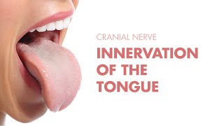 Innervation of the Tongue  Cranial Nerves  MEDZCOOL [upl. by Artimed936]