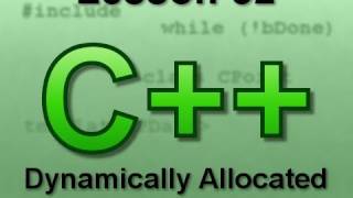 C Console Lesson 52 Dynamically Allocated MultiDimensional Arrays [upl. by Dennie]