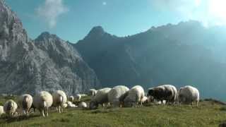 Alpenwelt Karwendel  Bergwandern und Klettern [upl. by Ona245]